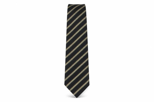 Mens Paul Costelloe Multicoloured Striped  Pointed Tie