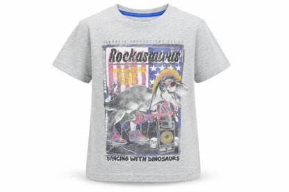 Dunnes Boys Grey  Cotton Basic T-Shirt Size 5 Years Round Neck Pullover - Dinosaur