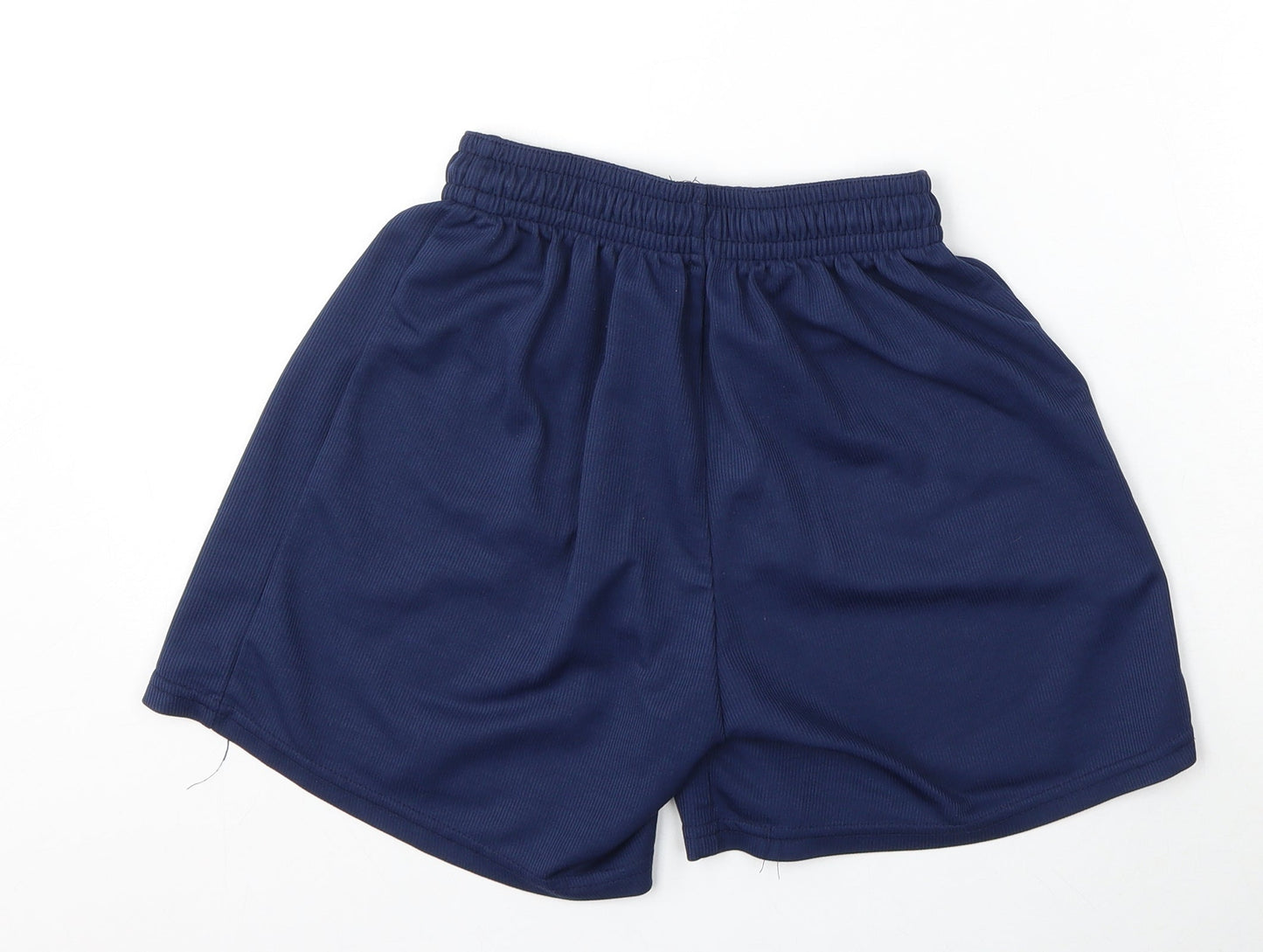 Ski & Sportswear Womens Blue  Polyester Athletic Shorts Size 30 L4 in Regular