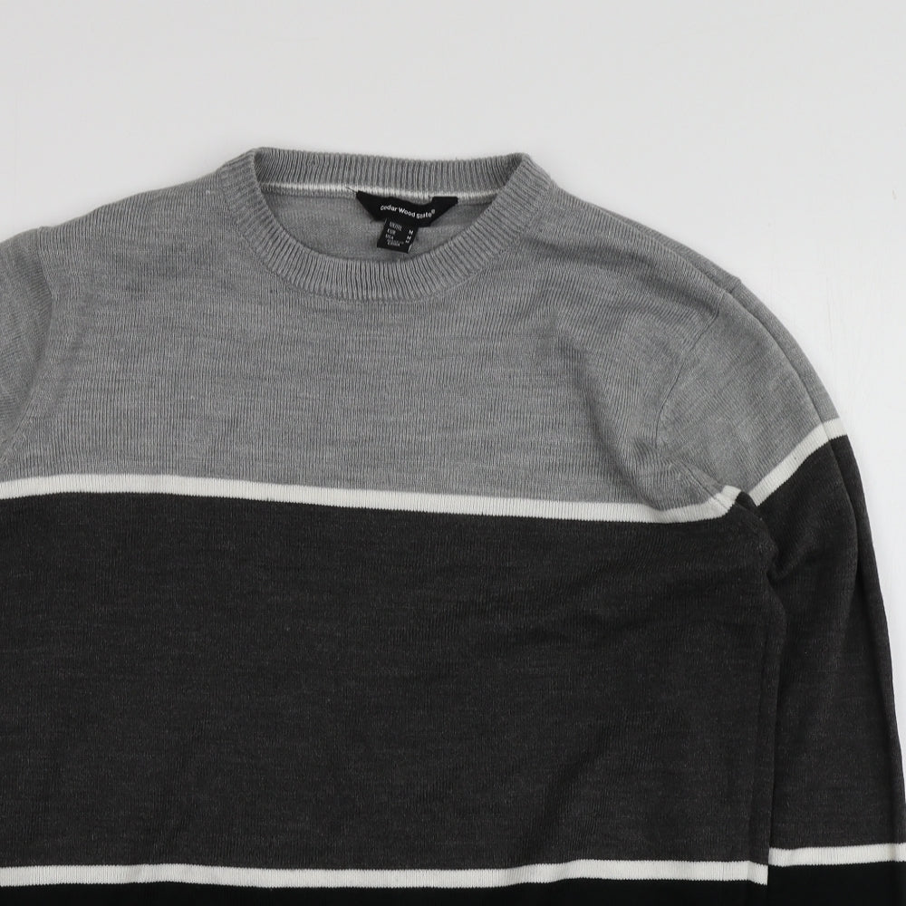 Cedar Wood State Mens Multicoloured Round Neck Striped Acrylic Pullover Jumper Size M