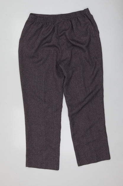 Damrat Womens Purple  Polyester Chino Trousers Size 18 L28 in Regular