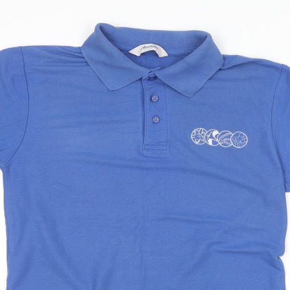 Alexandra Mens Blue  Polyester  Polo Size S Collared
