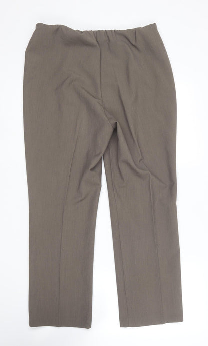 Classic Womens Brown  Polyester Trousers  Size 12 L25 in Regular