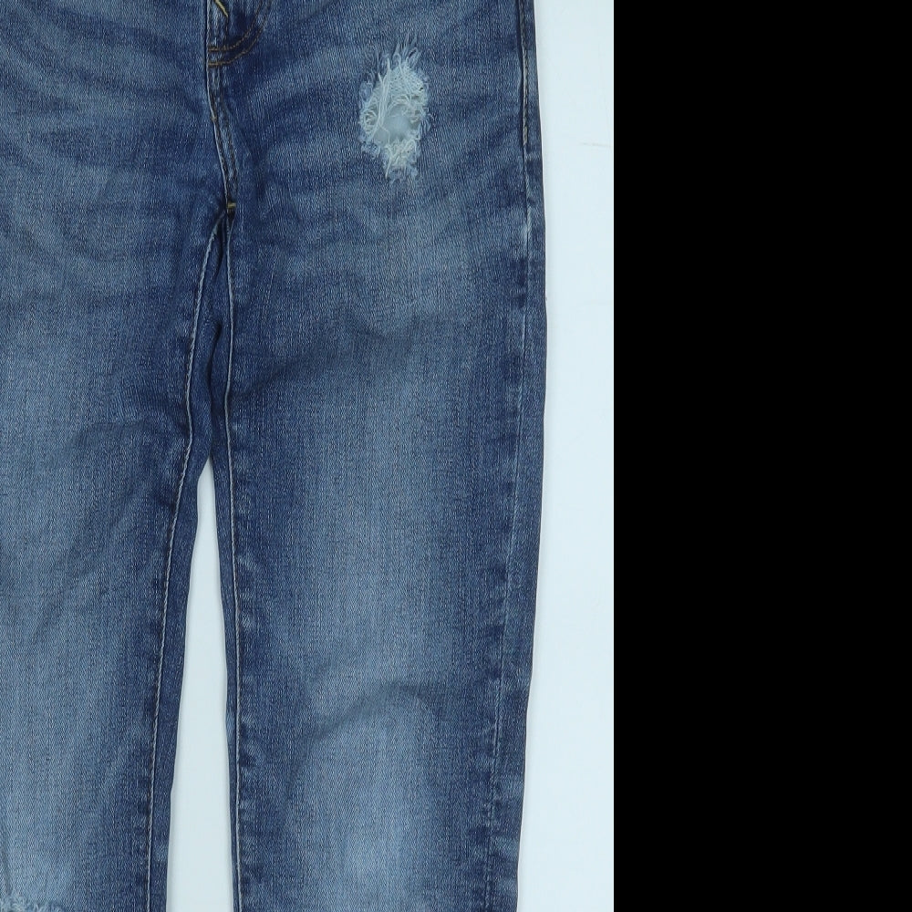 American Eagle Outfitters Mens Blue  Cotton Straight Jeans Size 29 in L32 in Regular