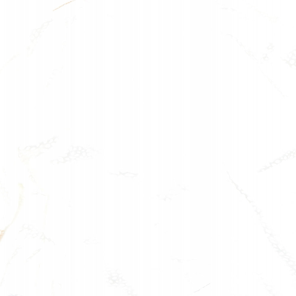 SheIn Womens Multicoloured  Polyester Basic Blouse Size L V-Neck