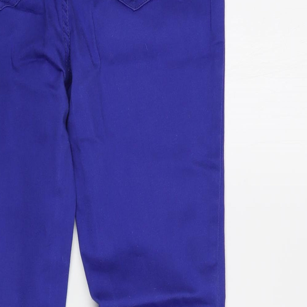 Blanco Womens Blue  Cotton Skinny Jeans Size 10 L30 in Regular Button