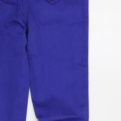 Blanco Womens Blue  Cotton Skinny Jeans Size 10 L30 in Regular Button