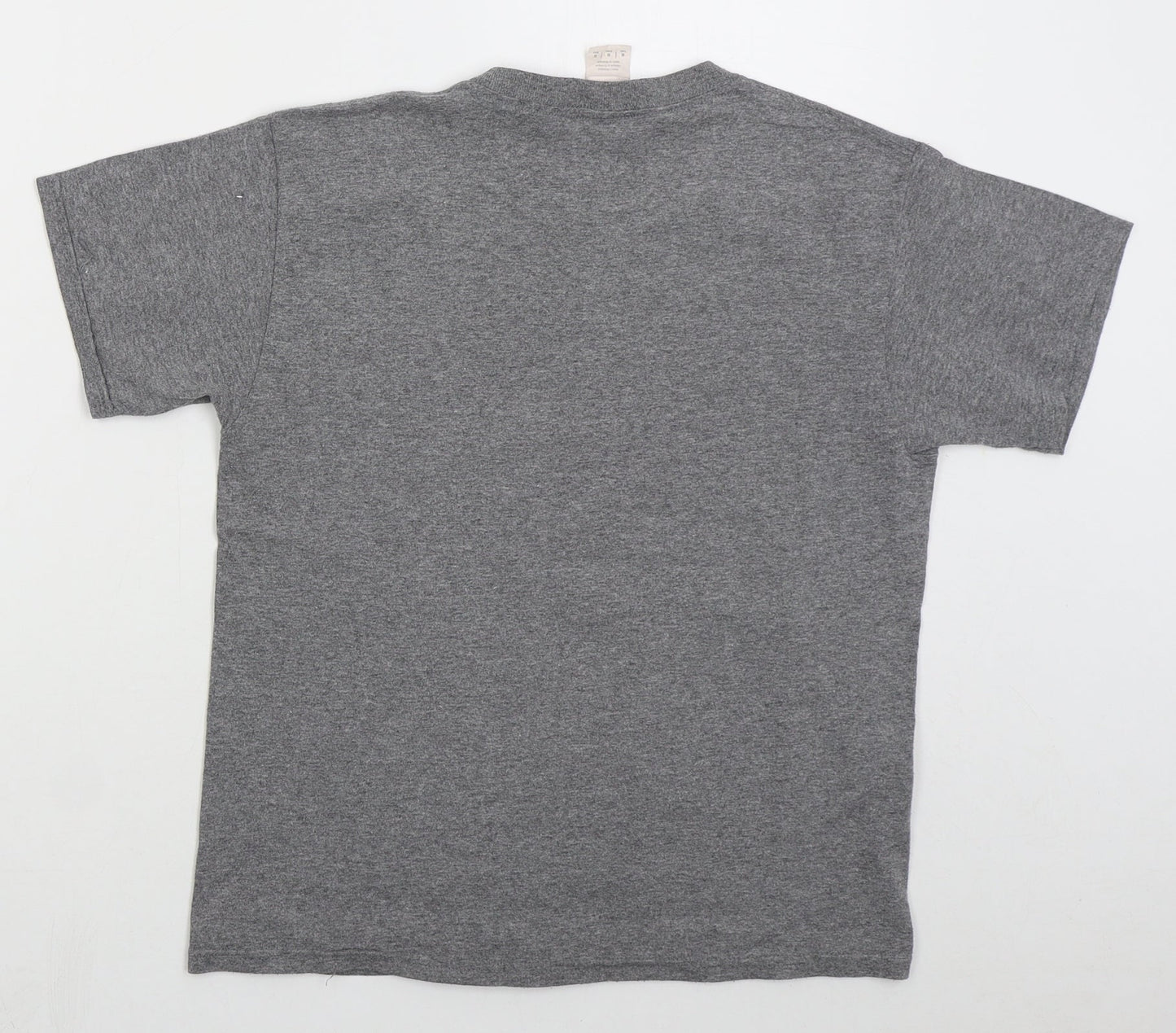 Gildan Boys Grey  Cotton Basic T-Shirt Size M Crew Neck Pullover - Don't Try This At Home