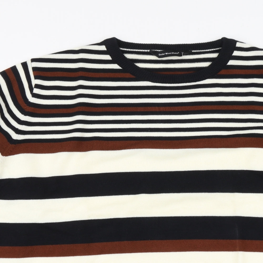 Cedr wood state Mens Multicoloured Round Neck Striped Acrylic Pullover Jumper Size XL