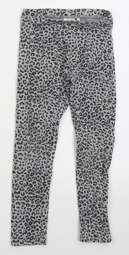 Zara Girls Grey Animal Print Cotton Carrot Trousers Size 9 Months Regular