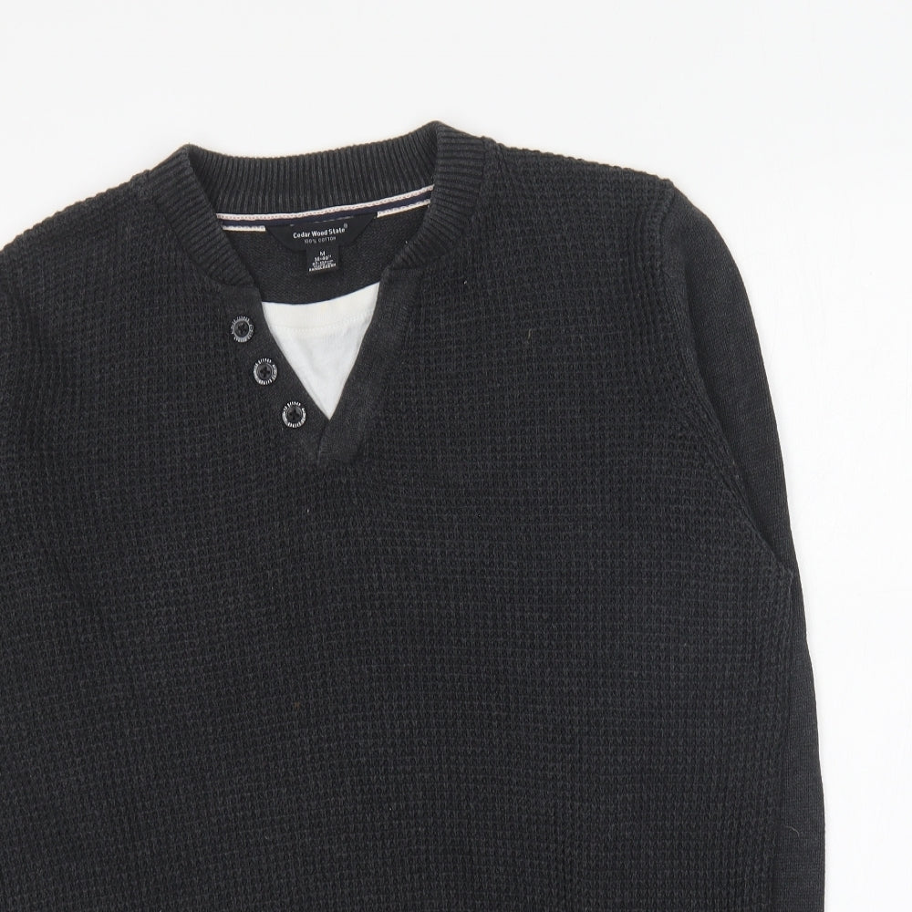 Cedar Wood State Mens Blue V-Neck Cotton Pullover Jumper Size M