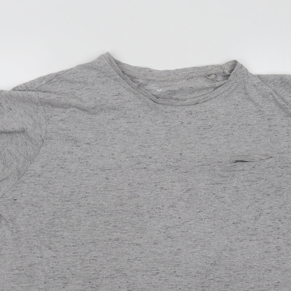 Cedar Wood State Womens Grey Cotton Basic T-Shirt Size M Round Neck