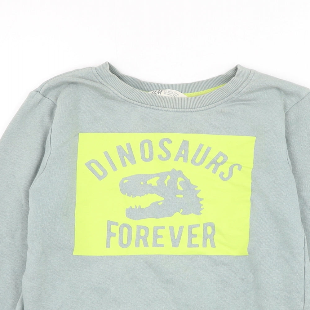 H&M Boys Grey Cotton Pullover Sweatshirt Size 9-10 Years Pullover - Dinosaurs Forever
