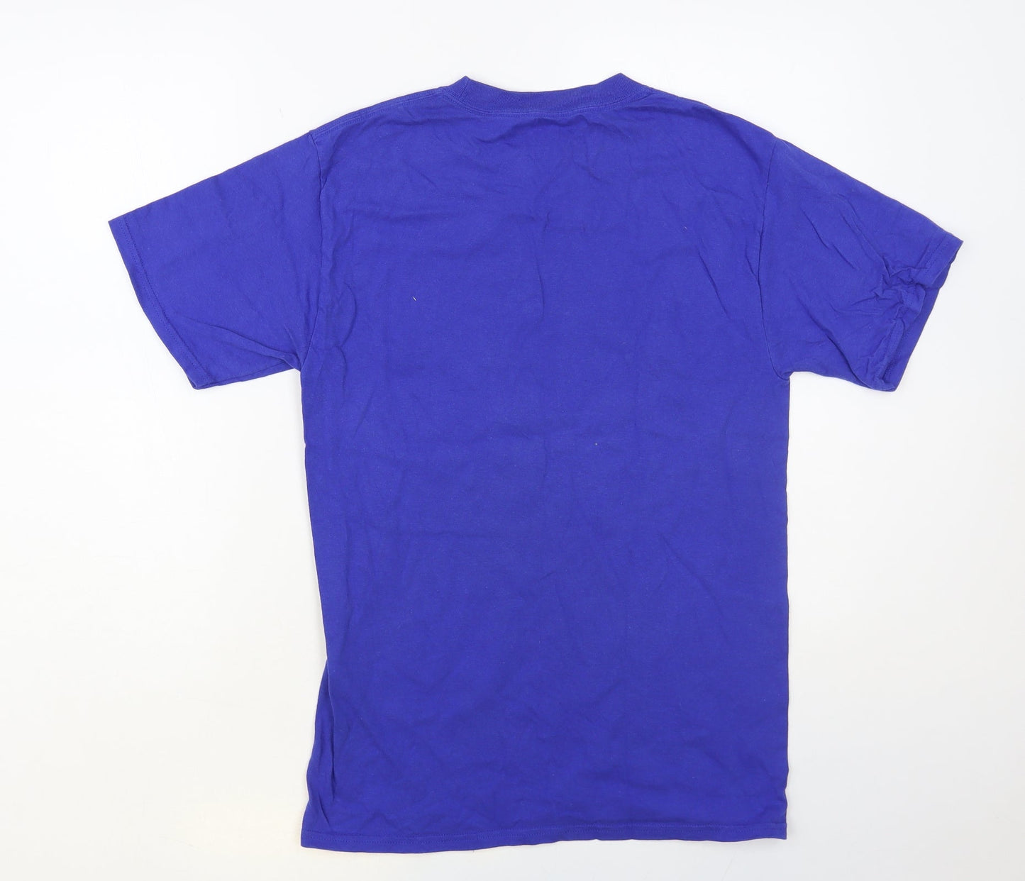 Womens UK Size S Hanes Blue Basic T-Shirt
