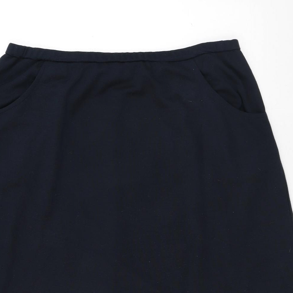 Carr Westley Womens Blue Acrylic A-Line Skirt Size 24