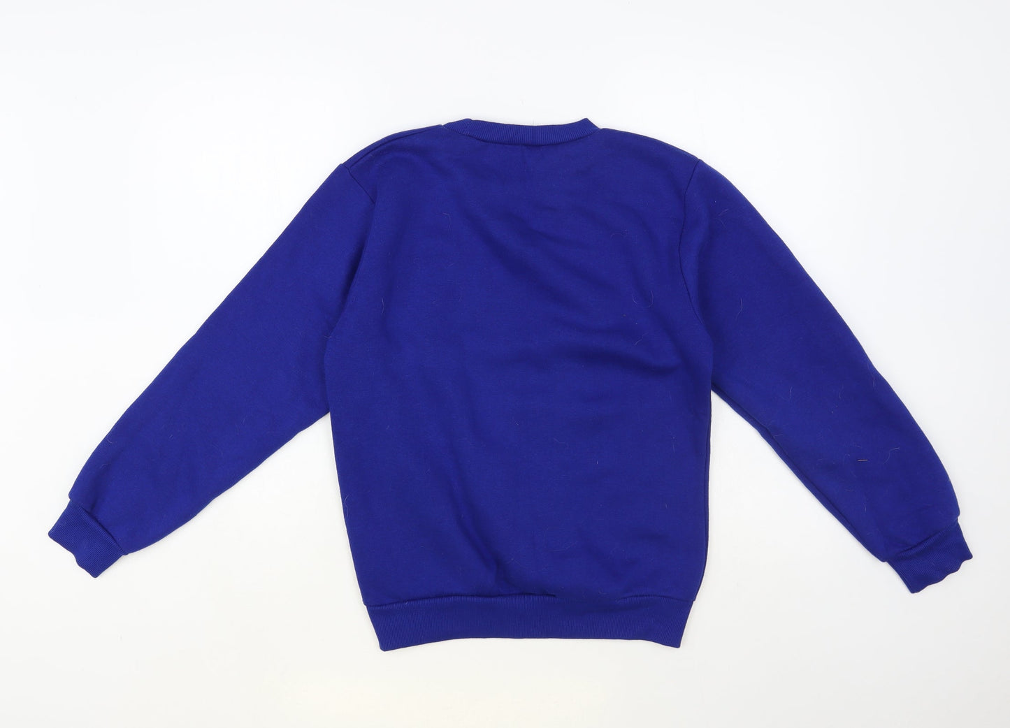 Preworn Womens Blue Polyester Pullover Sweatshirt Size XS Pullover - Santa Floss
