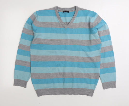 Cedar Wood State Mens Blue V-Neck Striped Viscose Pullover Jumper Size S