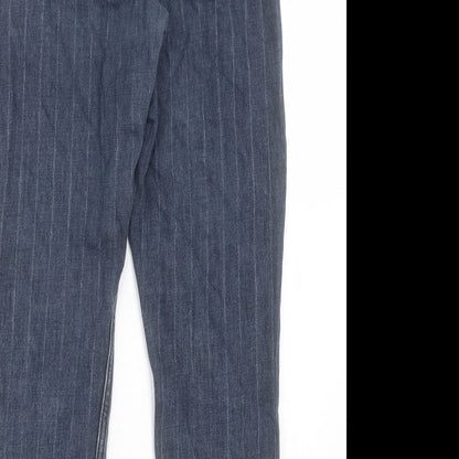 BDG Womens Blue Cotton Straight Jeans Size 27 in L30 in Regular Button