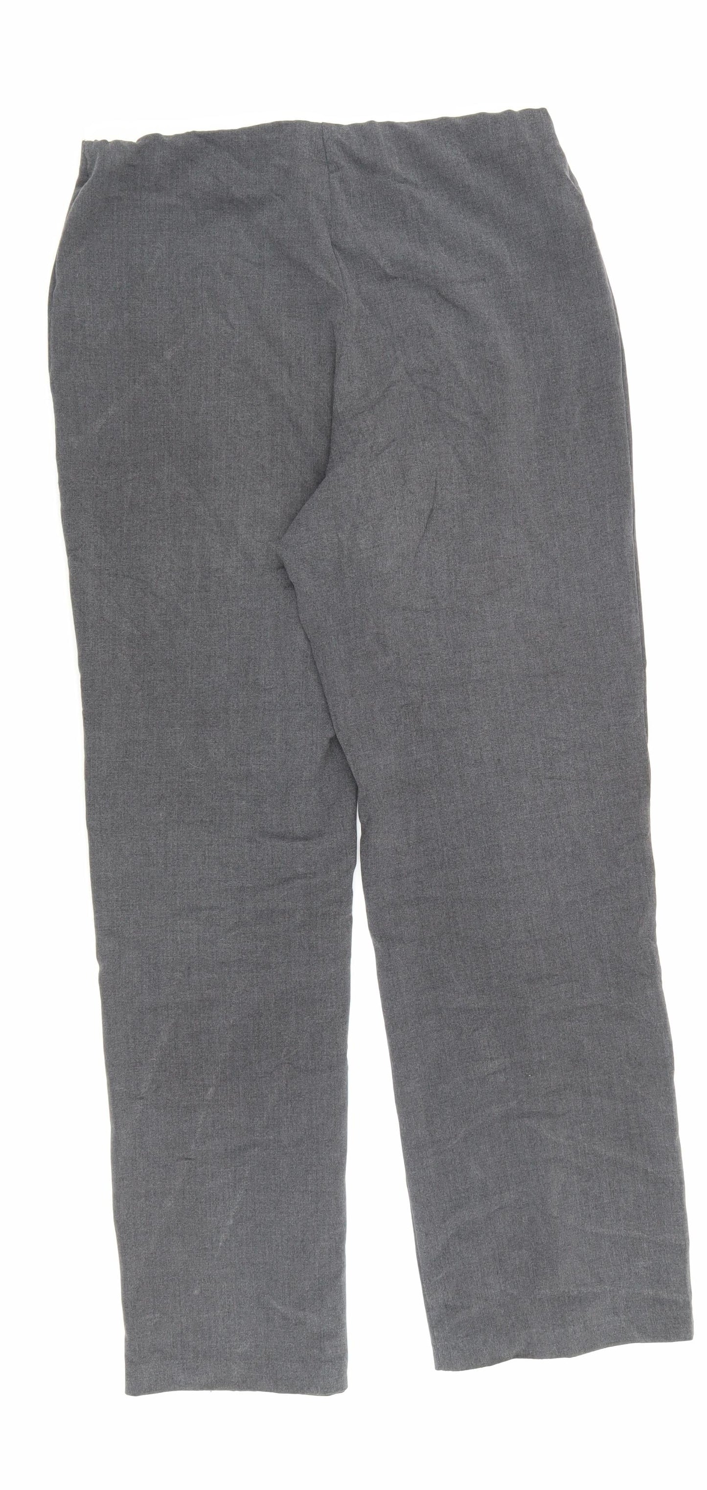 Autonomy Womens Grey Polyester Dress Pants Trousers Size 10 L27.5 in Regular