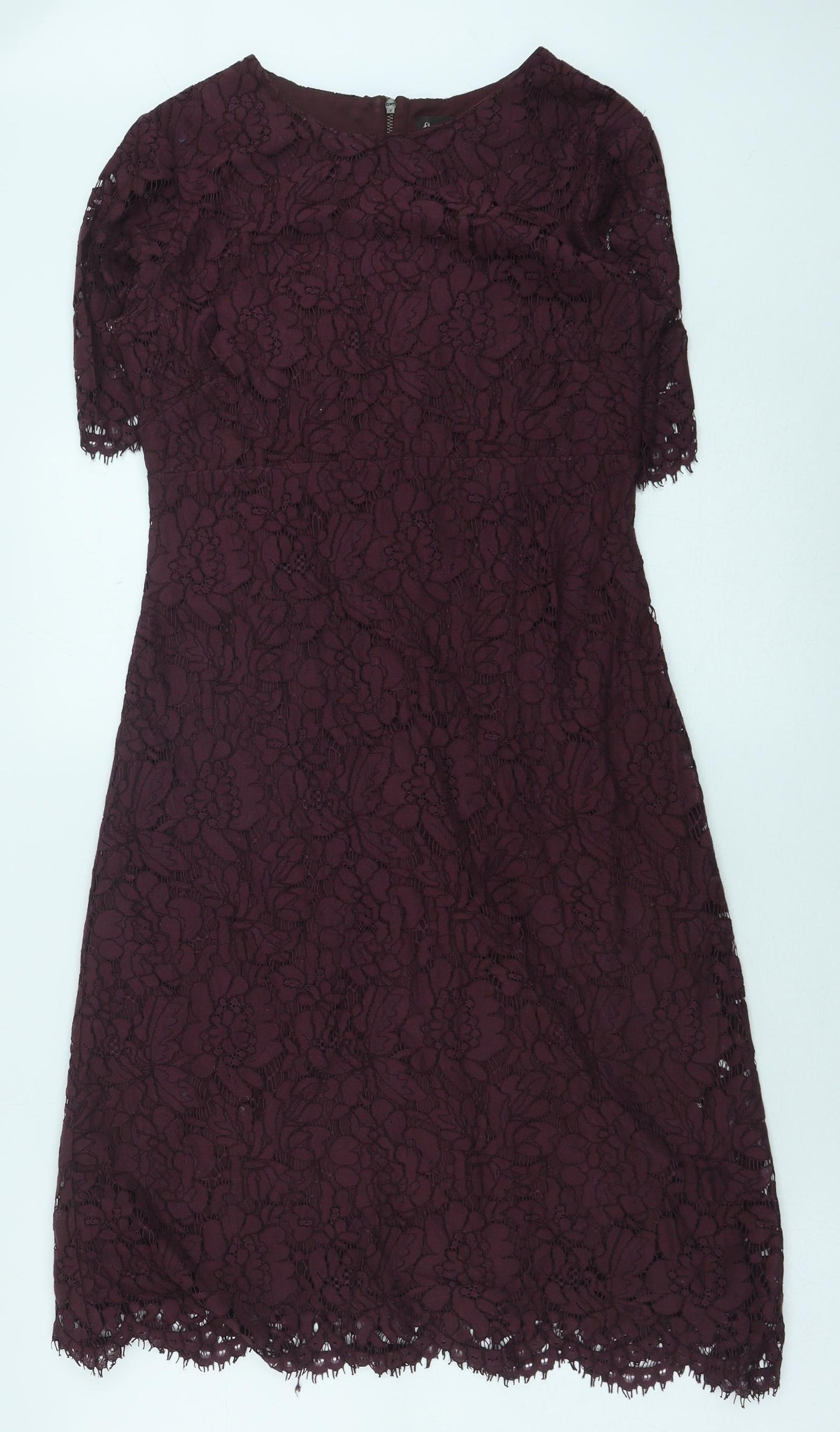 Phase Eight Womens Purple Polyamide A-Line Size 8 Boat Neck Zip