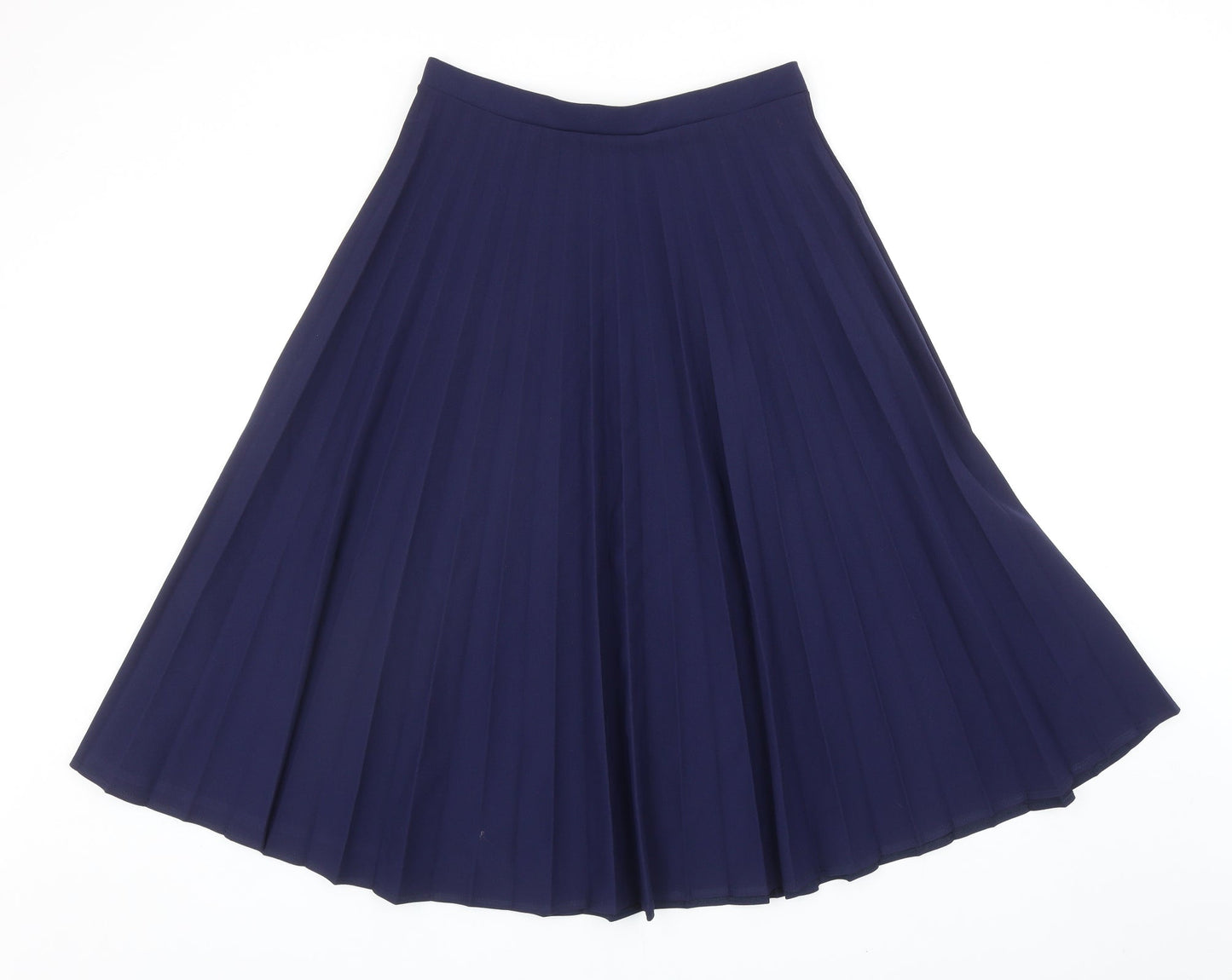 Alexara Womens Blue Polyester Pleated Skirt Size M