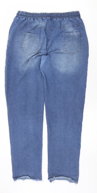 Womens UK Size 3XL Preworn Regular Fit Straight Blue Jeans