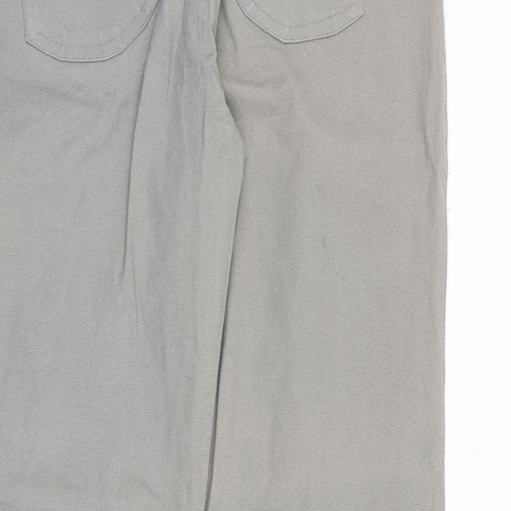 Blurr Womens Grey Cotton Straight Jeans Size 32 in Regular Zip