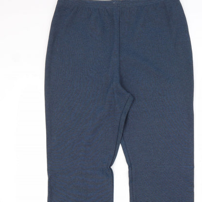 Casual Wear Womens Blue Striped Polyamide Trousers Size 18 L30 in Regular