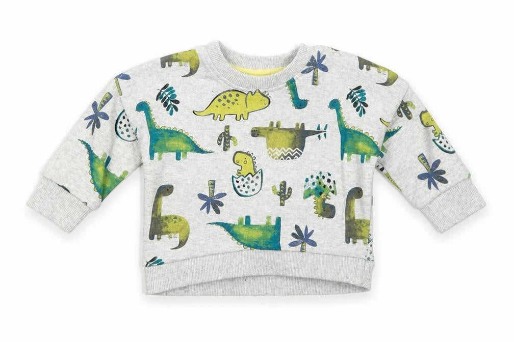 Front view of Nutmeg boys’ grey cotton pullover button-up, size 0-3, months round neck snap - dinosaur, cactus