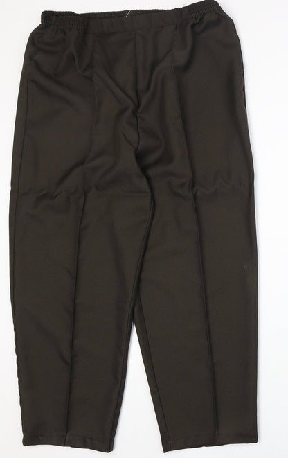 Womens UK Size 22 Amalina Regular Fit  Brown Trousers