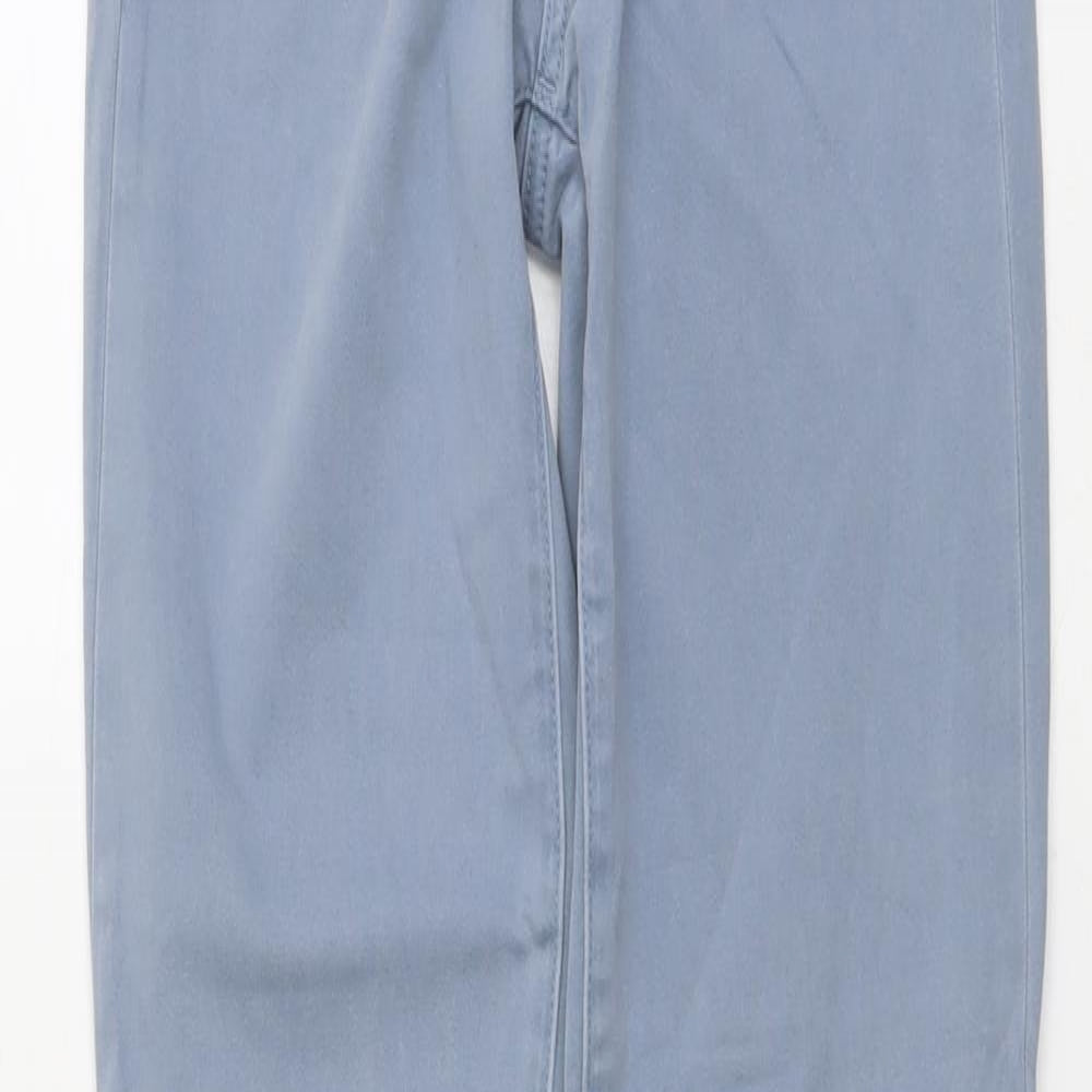 Gap Womens Blue Cotton Skinny Jeans Size 28 in L30 in Regular Button