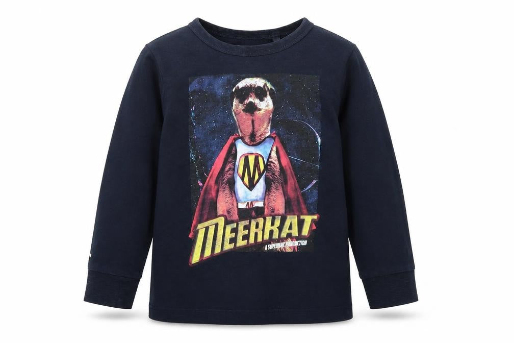 NEXT Boys Blue Cotton Basic Casual Size 4 Years Round Neck Pullover - Meerkat