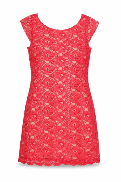 Oasis Womens Red Floral Polyamide A-Line Size 12 Round Neck Zip