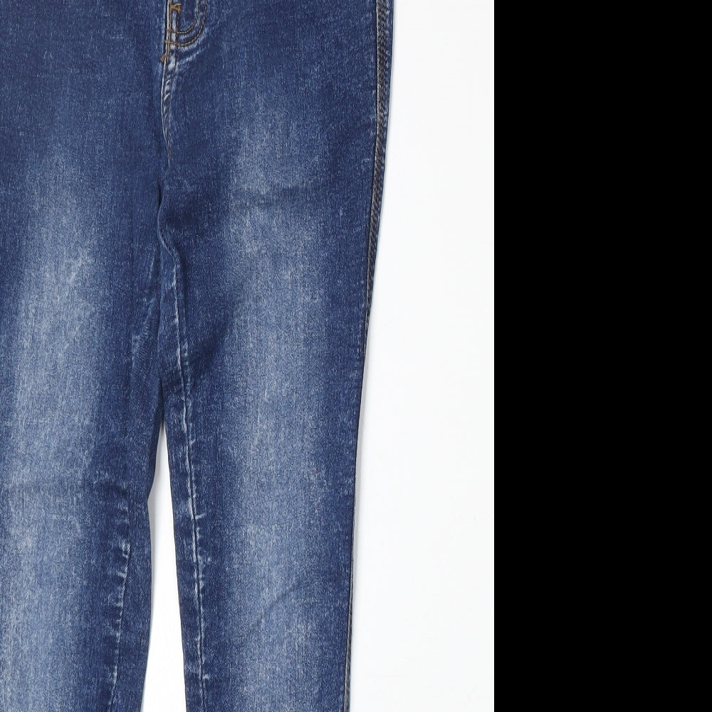 Jania Womens Blue Cotton Skinny Jeans Size 27 in Regular Zip