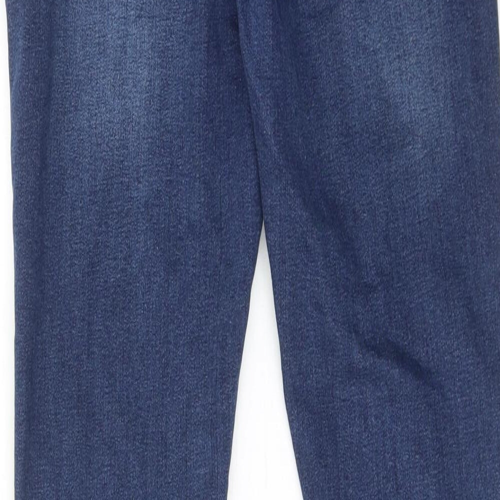Carpe Omnia Womens Blue Cotton Skinny Jeans Size 30 in L30 in Regular Zip