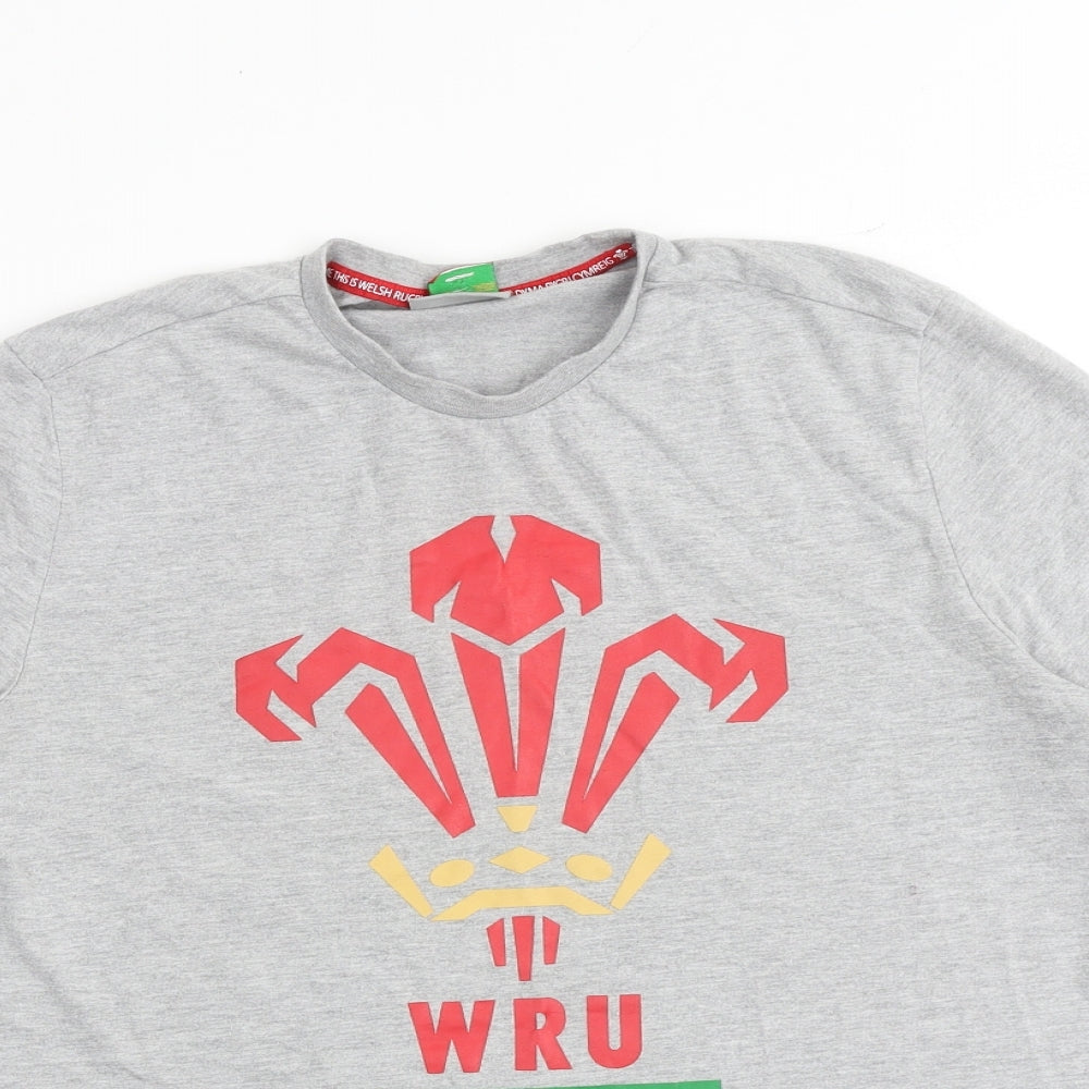 Wales Rugby Boys Grey 100% Cotton Basic T-Shirt Size S Round Neck Pullover
