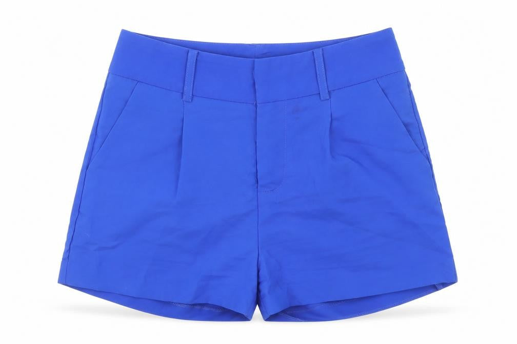 Lucy Wang Womens Blue Polyester Basic Shorts Size S L3 in Regular Zip