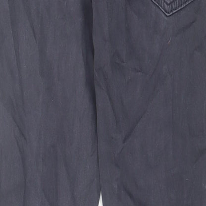 Adrianna Goldschmied Mens Blue Cotton Skinny Jeans Size 30 in L32 in Regular Zip