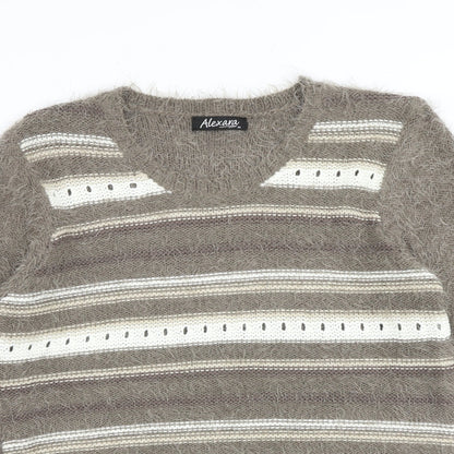 Womens UK Size M Alexara Brown Pullover Jumper