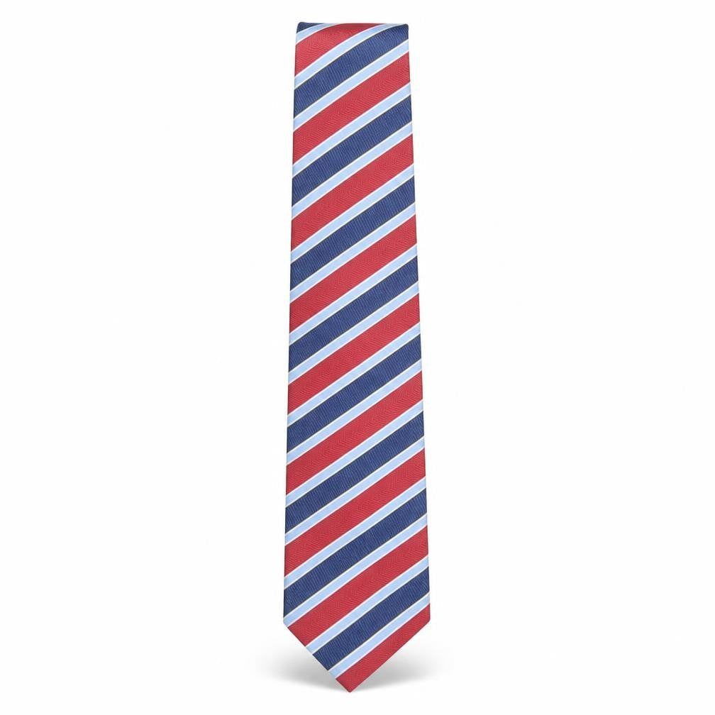 Mens Frangi Multicoloured Striped  Pointed Tie