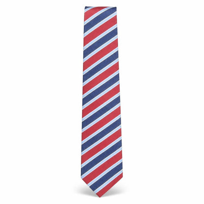 Mens Frangi Multicoloured Striped  Pointed Tie