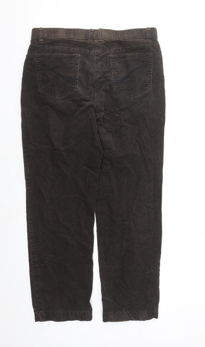 Womens UK Size 12 Classic Regular Fit  Brown Trousers