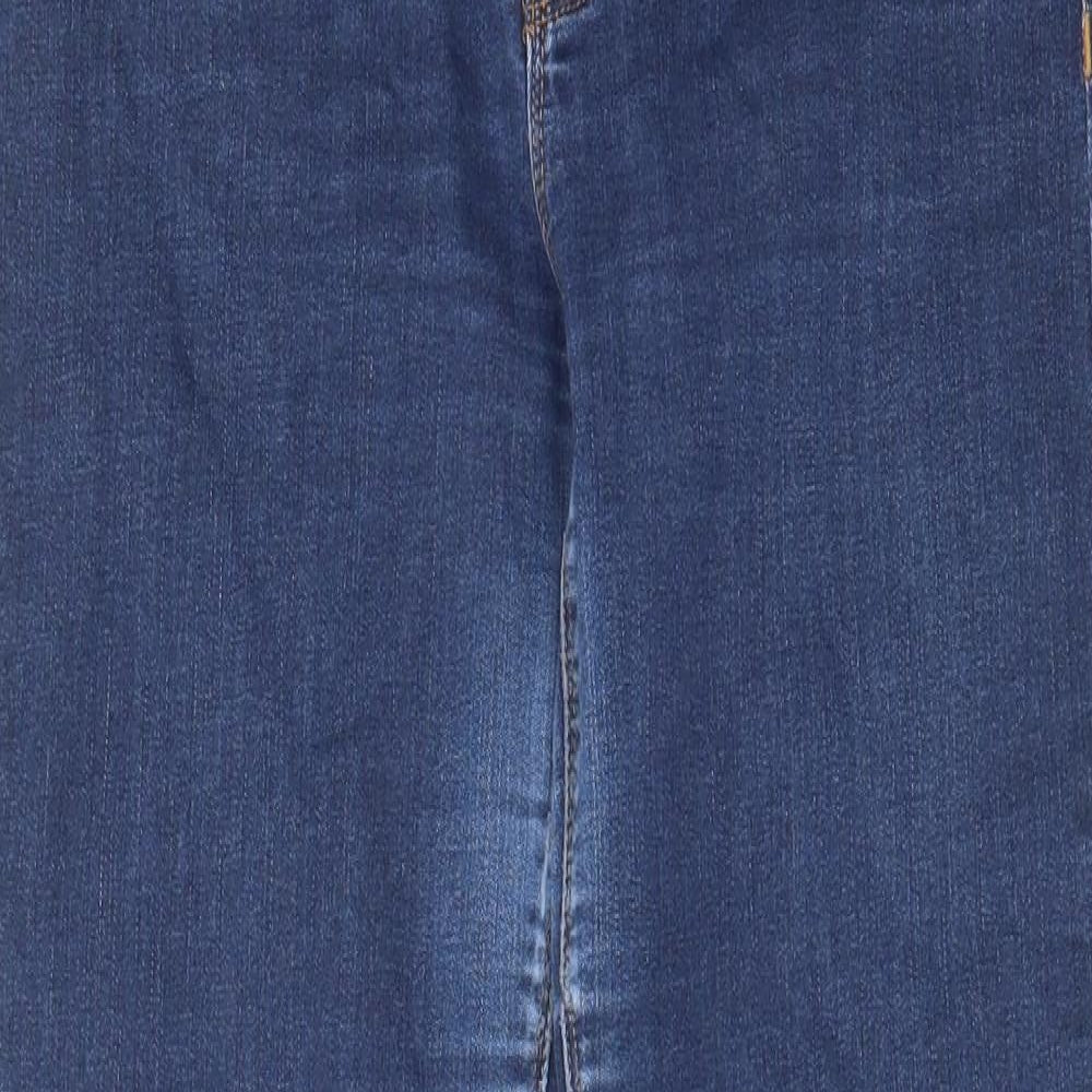 Hudson Womens Blue Cotton Skinny Jeans Size 31 in L29 in Regular Zip - Pockets