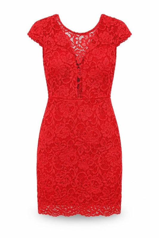 Cameo Rose Womens Red Floral Polyester Bodycon Size S Scoop Neck Zip - Lace Overlay