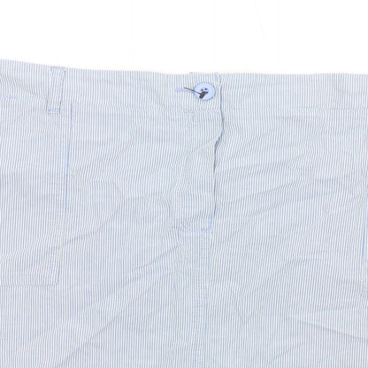 Authentic Womens Blue Striped Cotton A-Line Skirt Size 20 Zip