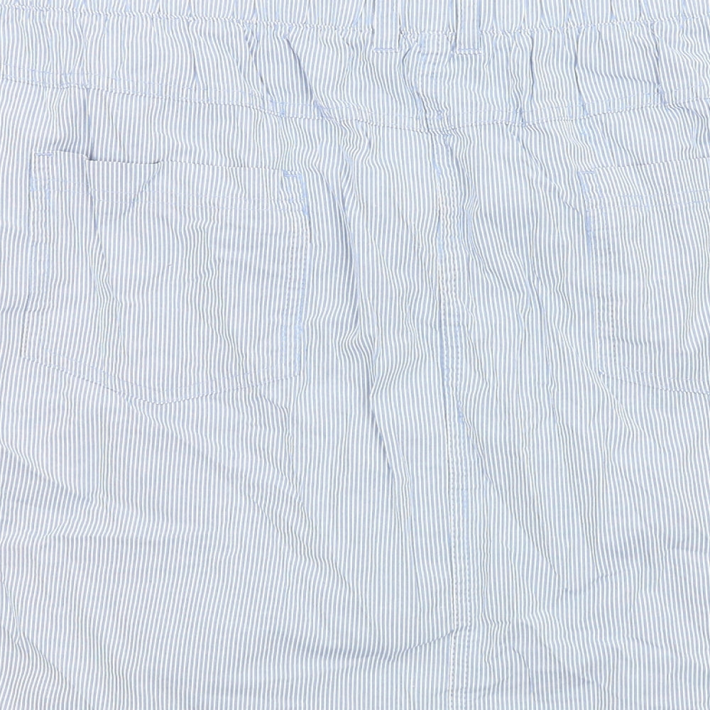 Authentic Womens Blue Striped Cotton A-Line Skirt Size 20 Zip