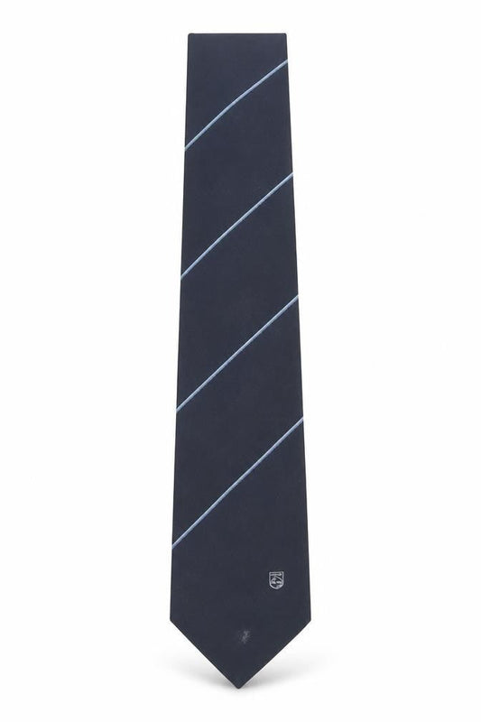 Peter K Mens Blue Striped Polyester Pointed Tie One Size - Phillips Logo