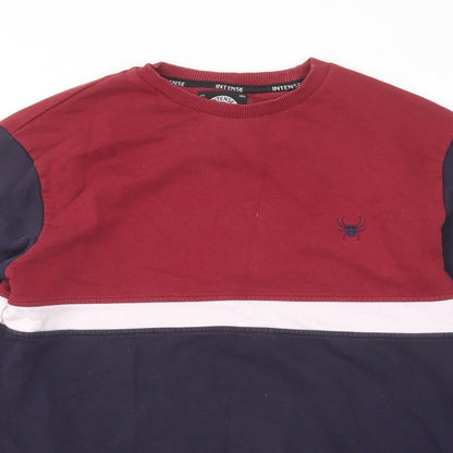 Mens UK Size L Intense Blue Pullover Sweatshirt