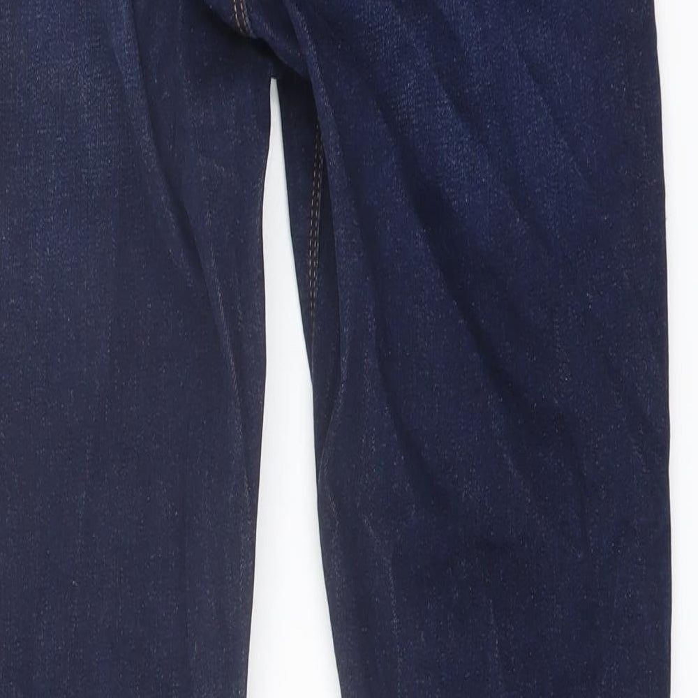 Envy Womens Blue Cotton Skinny Jeans Size 10 L27 in Regular Button