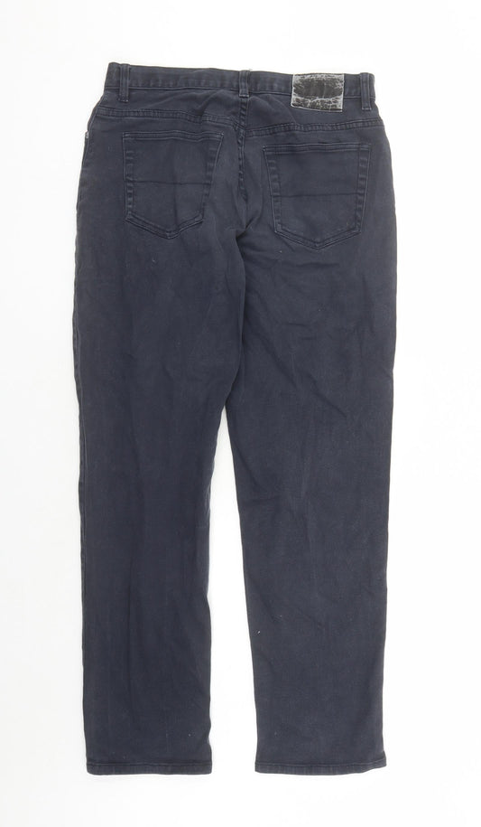 Armando Mens Blue Cotton Straight Jeans Size 30 in L28 in Regular Button